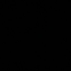 Meet your Posher, Will